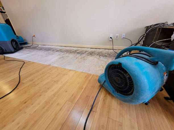 Professional Sewage Cleanup technician working in Hertel, WI