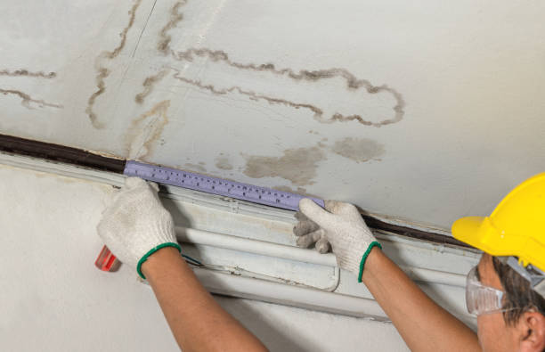 Affordable Sewage Cleanup solutions in Hertel, WI
